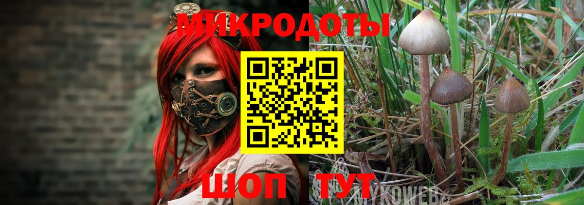 Галлюциногенные грибы мухоморы Подольск