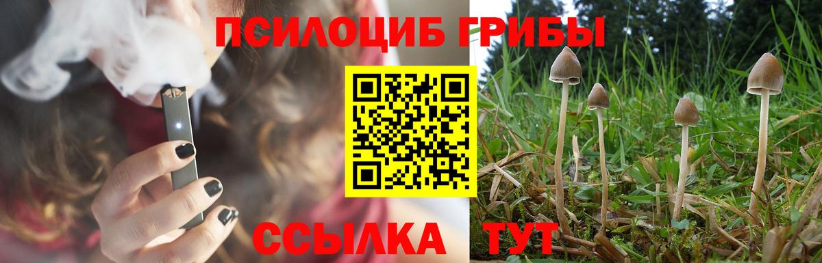 Подольск  Псилоцибиновые грибы прущие грибы  Вход с VPN 
